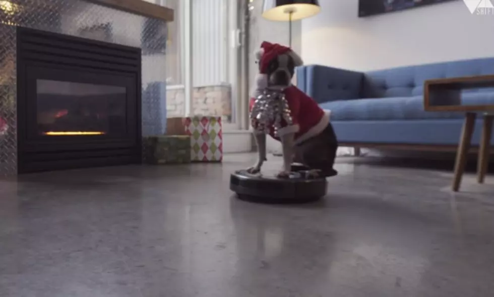 Dog Rides Roomba Around House Because Christmas [Video]