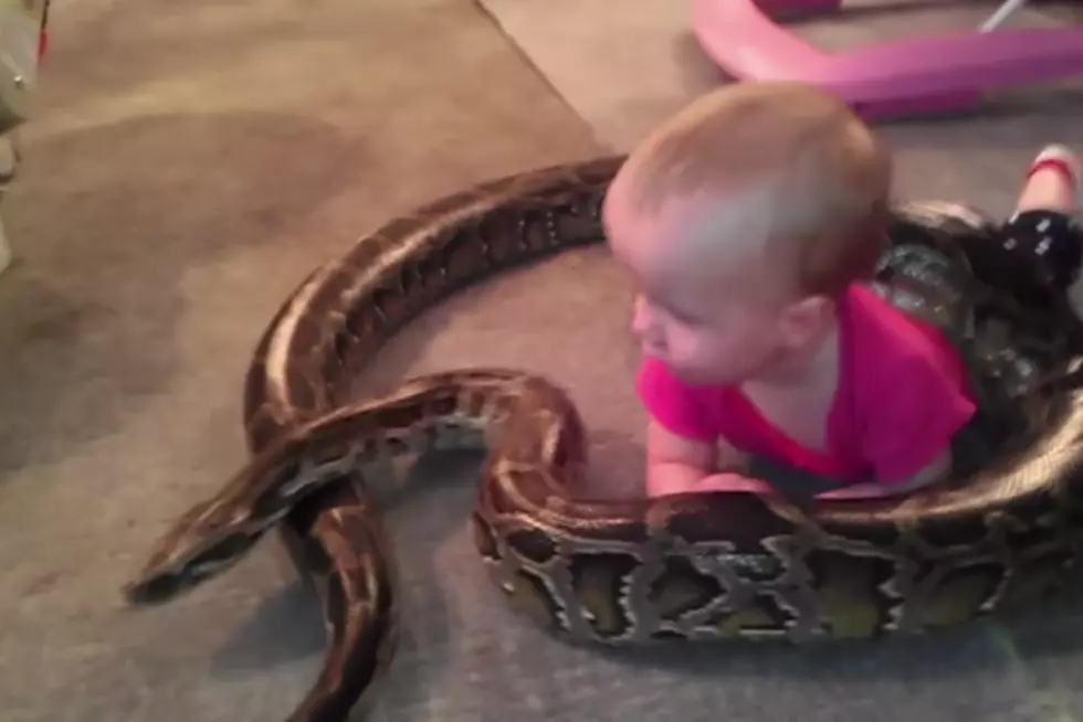 14-Month-Old Baby Girl Plays With Python Leaving People Outraged [Video]