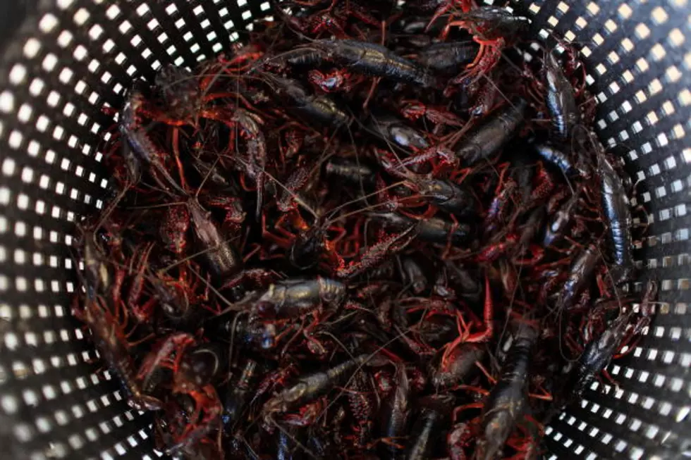 Bill Would Set Size Limit For Crawfish To Be Sold
