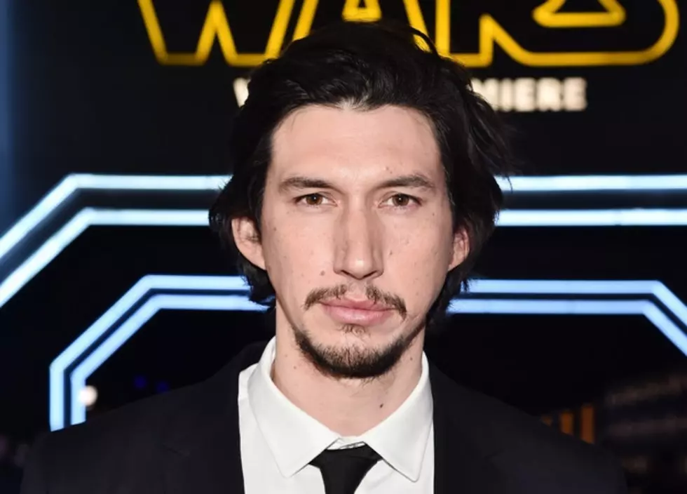 This Cat Might Resemble ‘Star Wars’ Actor Adam Driver