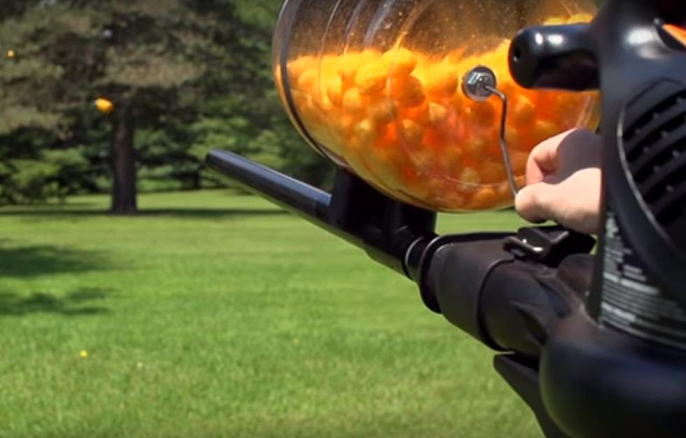 Genius Teaches You How To Make A Cheese Ball Machine Gun [Watch]