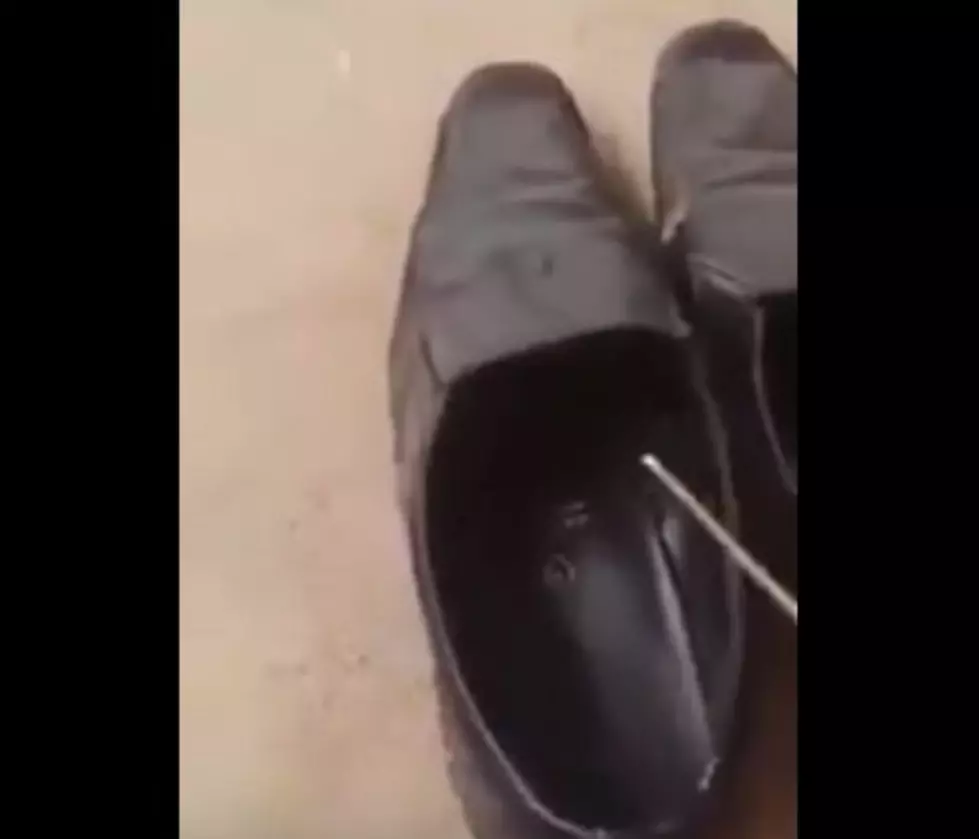 Why You Check Your Shoes Before Putting Them On [Video]