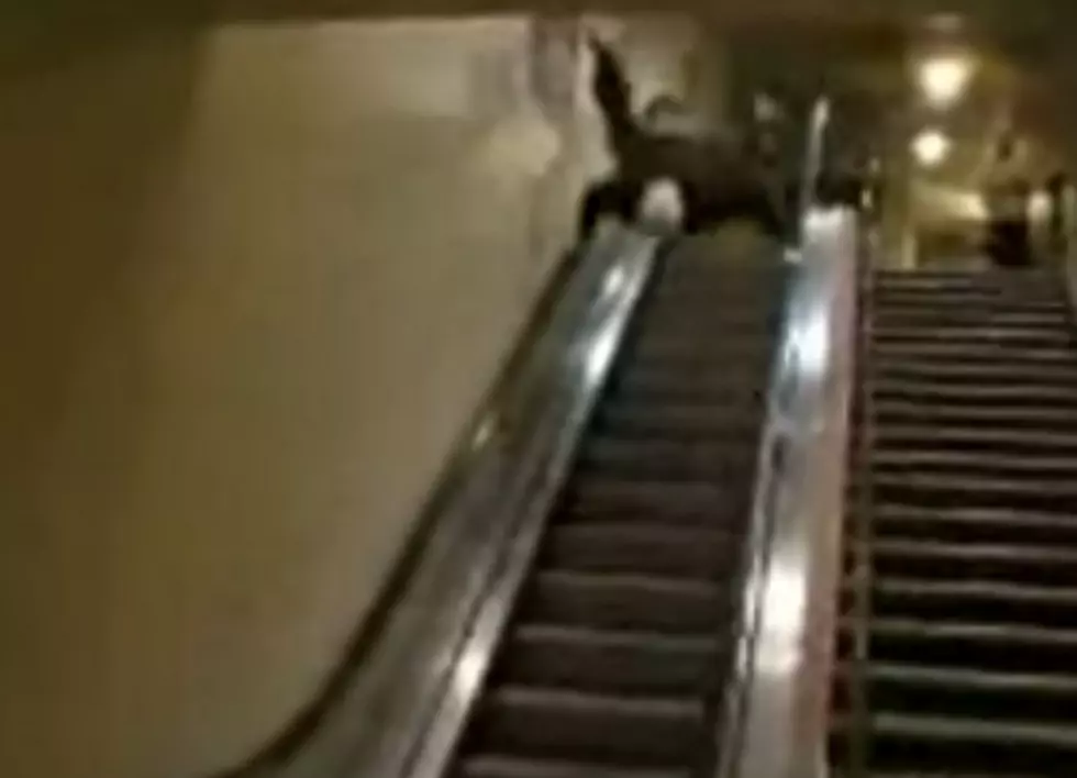 Flying Escalator Stunt Goes Horribly Wrong [Video]