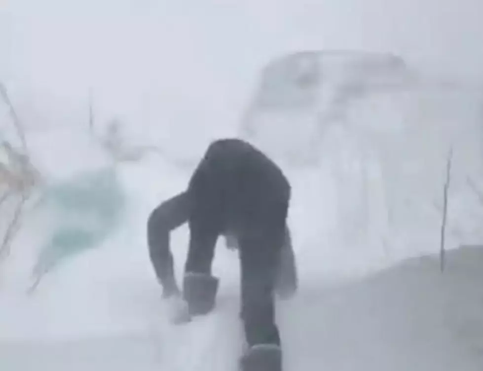 What Happens In Alaska When You Forget Your Phone In The Car [Video]