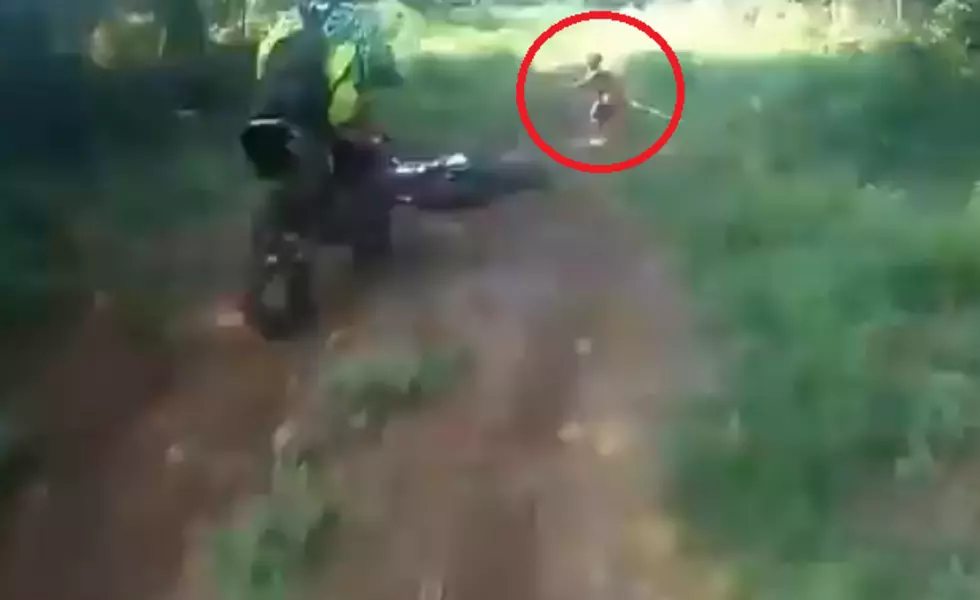Biker Nearly Crashes Into Mysterious Creature In The Jungle [Video]