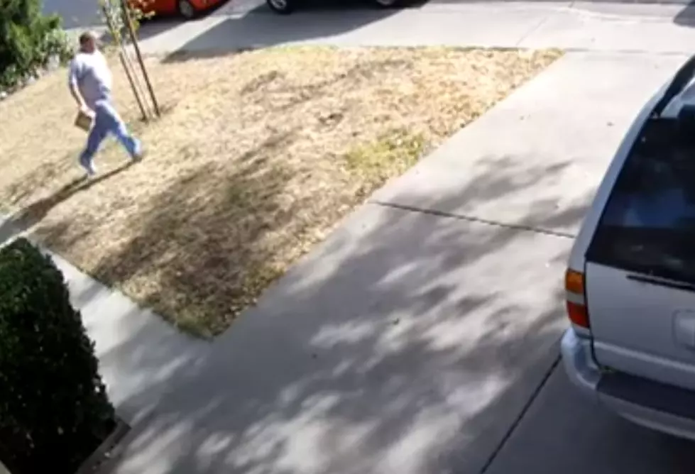 Package Thief Gets Instant Karma [Video]