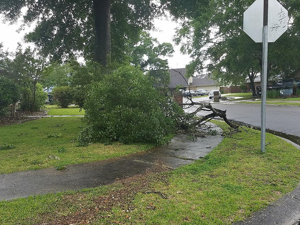 Storm Damage Across Acadiana From This Morning&#8217;s Severe Weather [Photos]