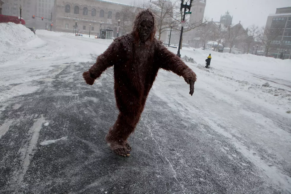 Lafayette Public Library Shares A Photo Of Bigfoot From Their Archives [Pic]