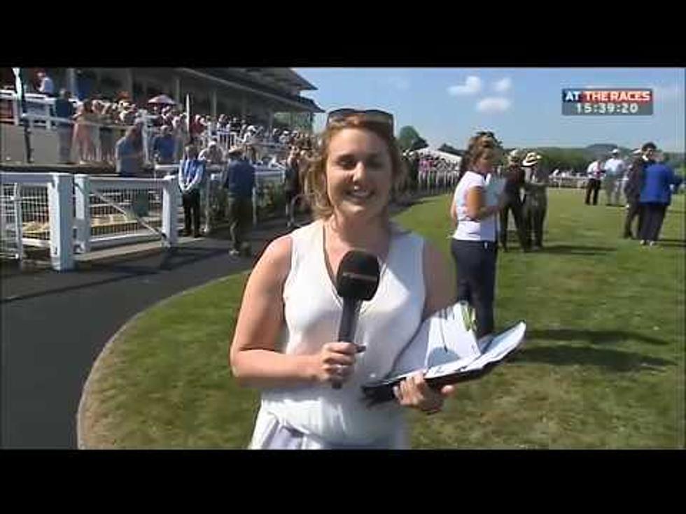 Female Reporter Catches A High Speed Loose Horse [VIDEO]