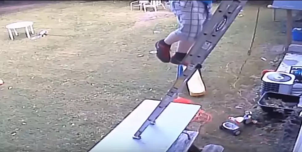 Man Has No Sense Of Safety When Climbing A Ladder [VIDEO]