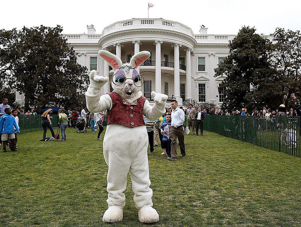 Why is There an Easter Bunny for Easter?