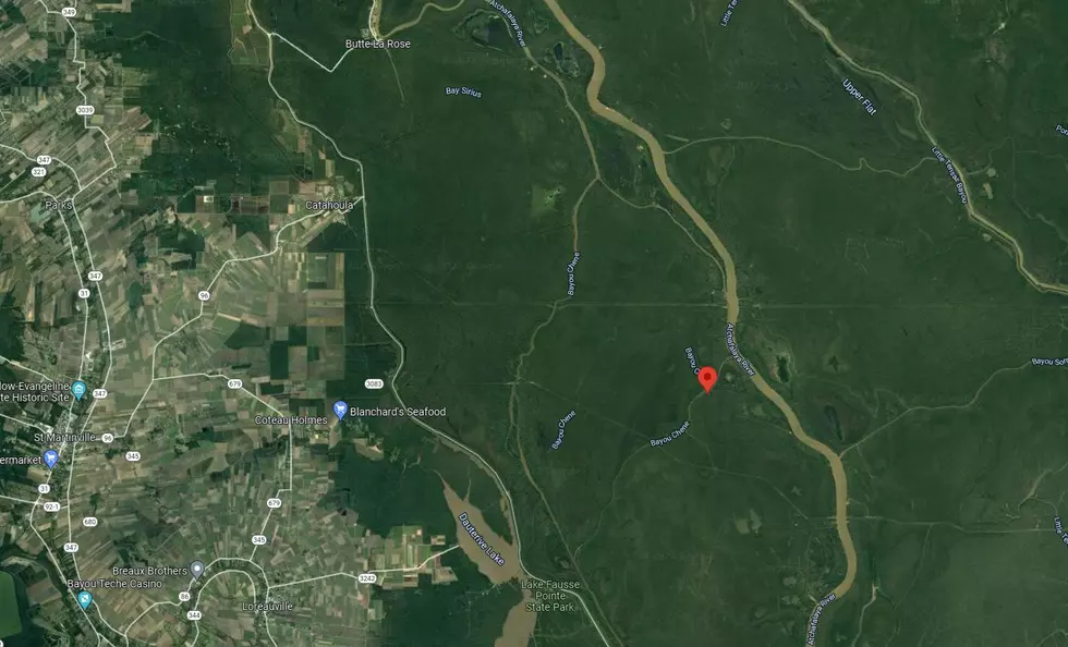 Google Maps
