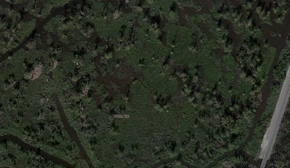 Google Maps