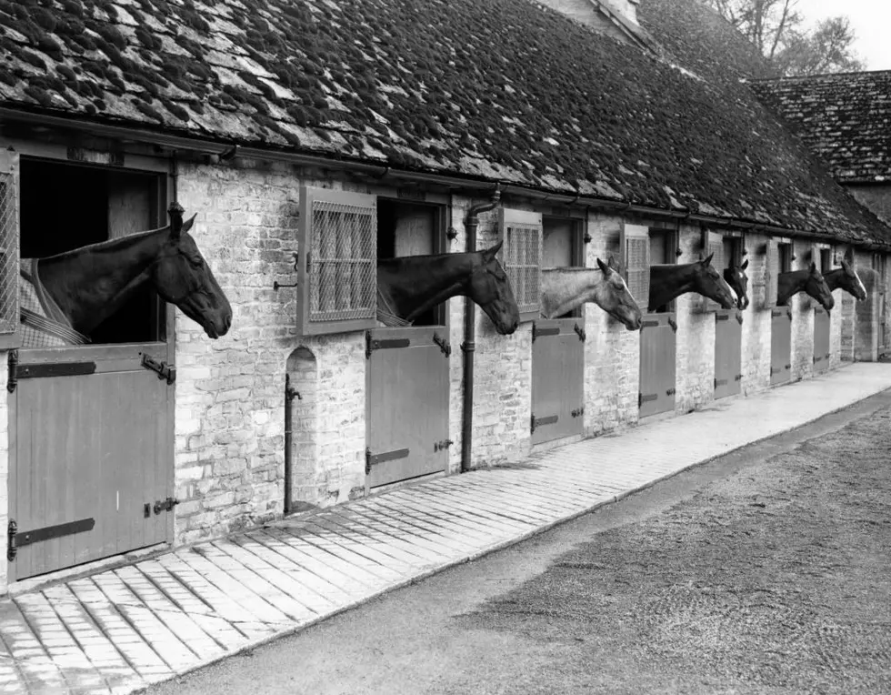 Did You Know That Adolf Hitler’s Horse is Buried in Louisiana?