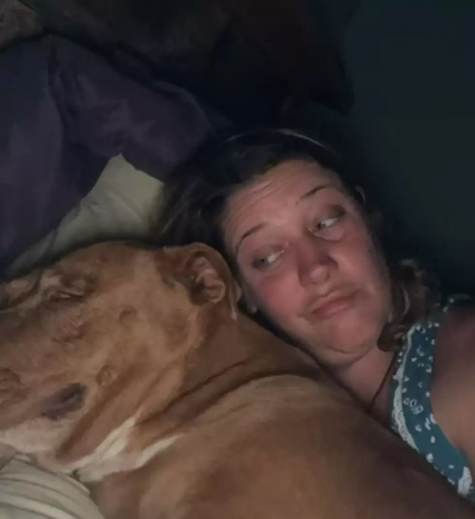Dog Breaks Into Couple’s Home & Snuggles Up in Bed