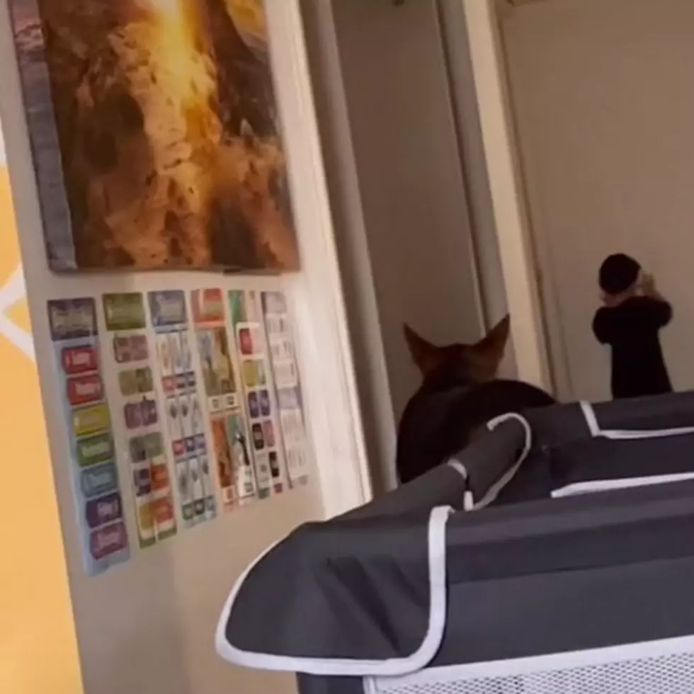 Mom Accidentally Videos Strange Shadow Crawling Under Child’s Bed