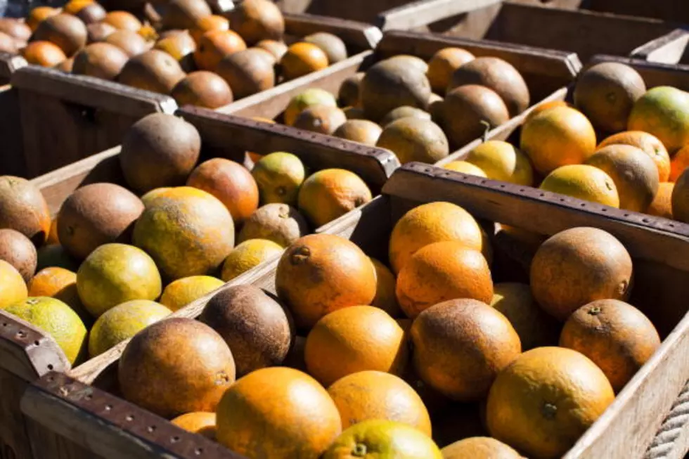 State: Sweet Orange Scab Found In Louisiana