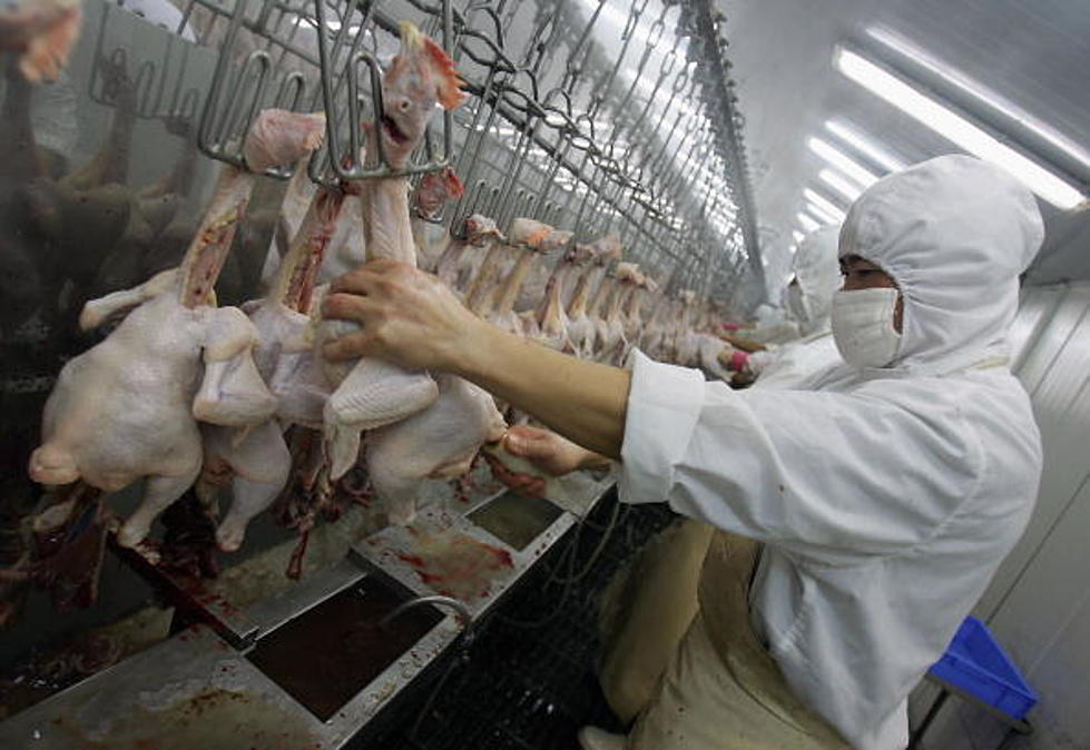 Miss. Chicken Processing Firm To Build La. Plant