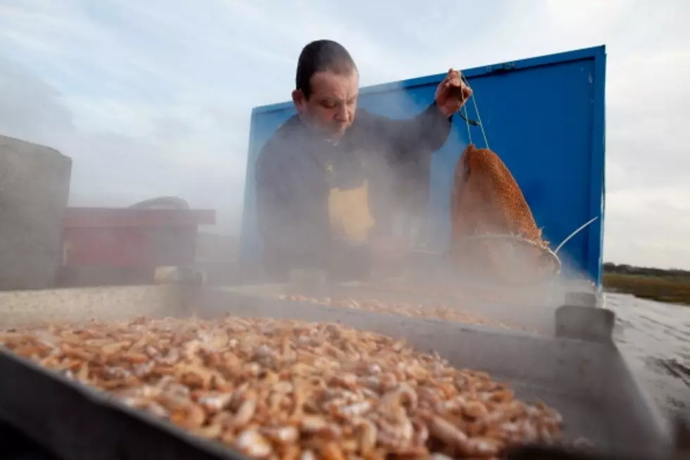 Seafood Industry Lobbying DC