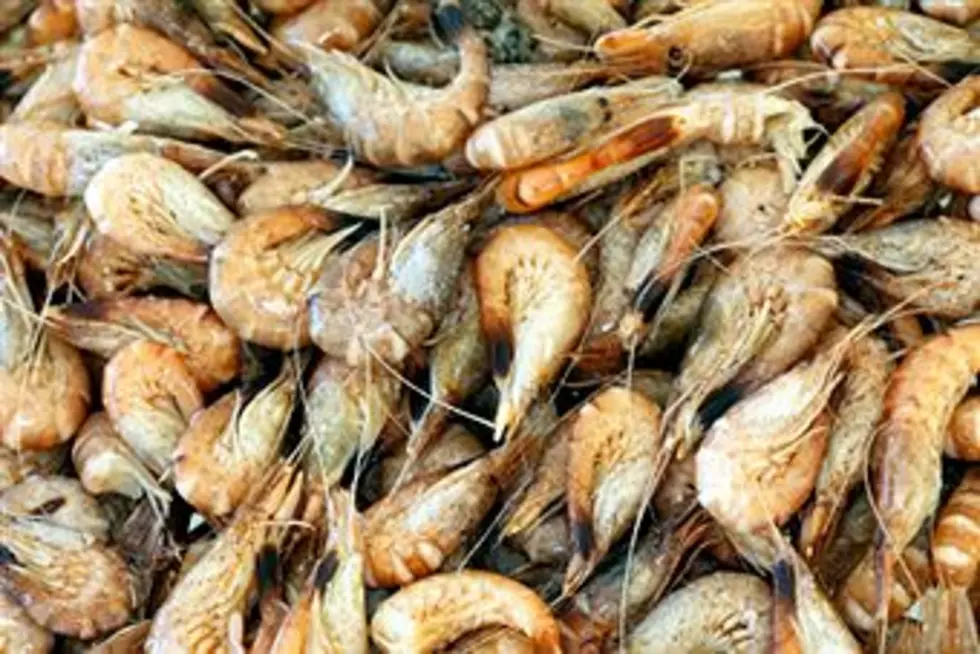 Stock Up On Fresh Louisiana Shrimp Now