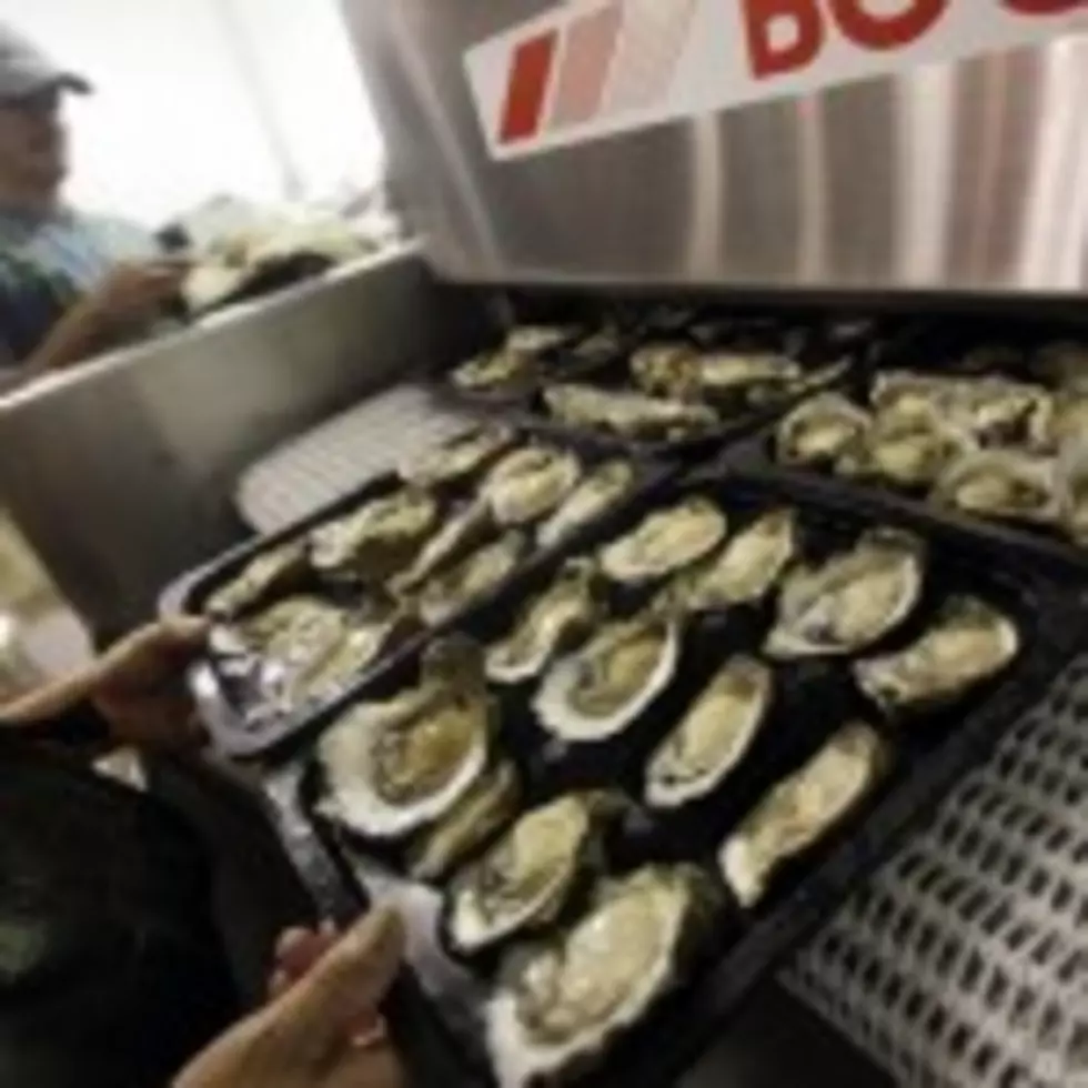 State To Close Oyster Season In 3 Public Areas