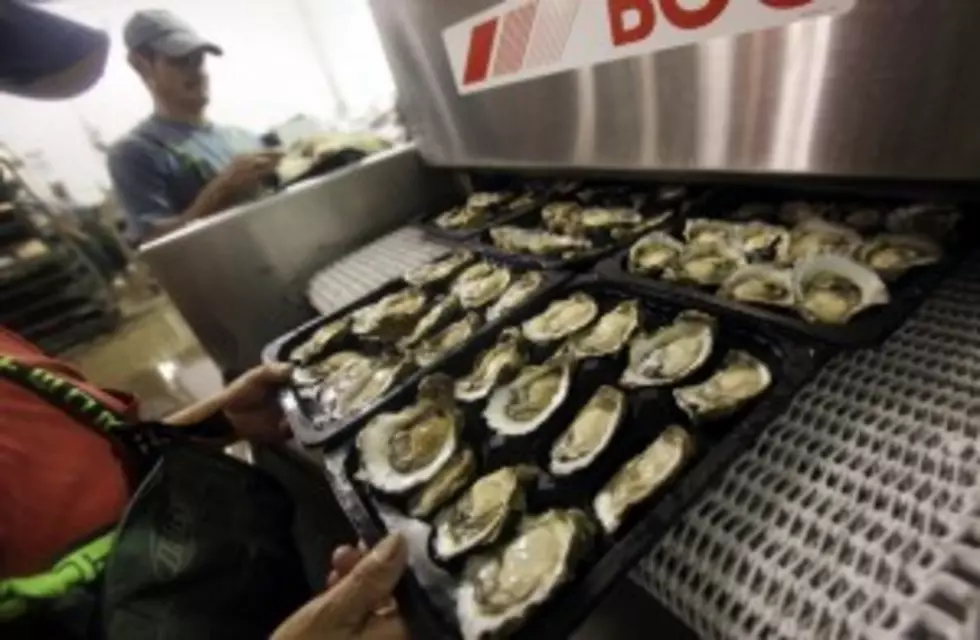 Auditor: Oil Companies Pay Too Little For Oyster Damage