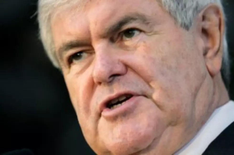 Gingrich Protests Florida Results