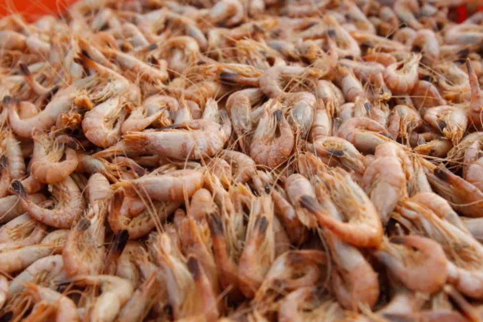 Rayne Man Arrested For Selling Shrimp Without A License