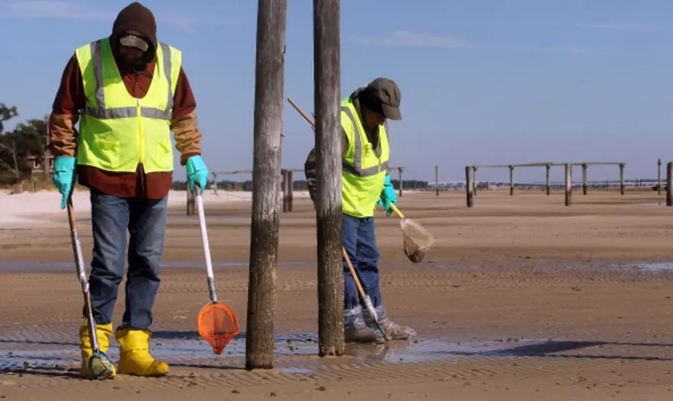 End Of BP Cleaning Crews Leaves Questions For Those On The Gulf Coast