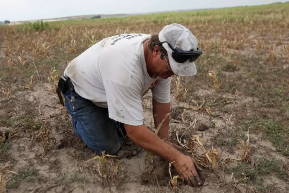 Merger To Create New Agricultural Department At LSU