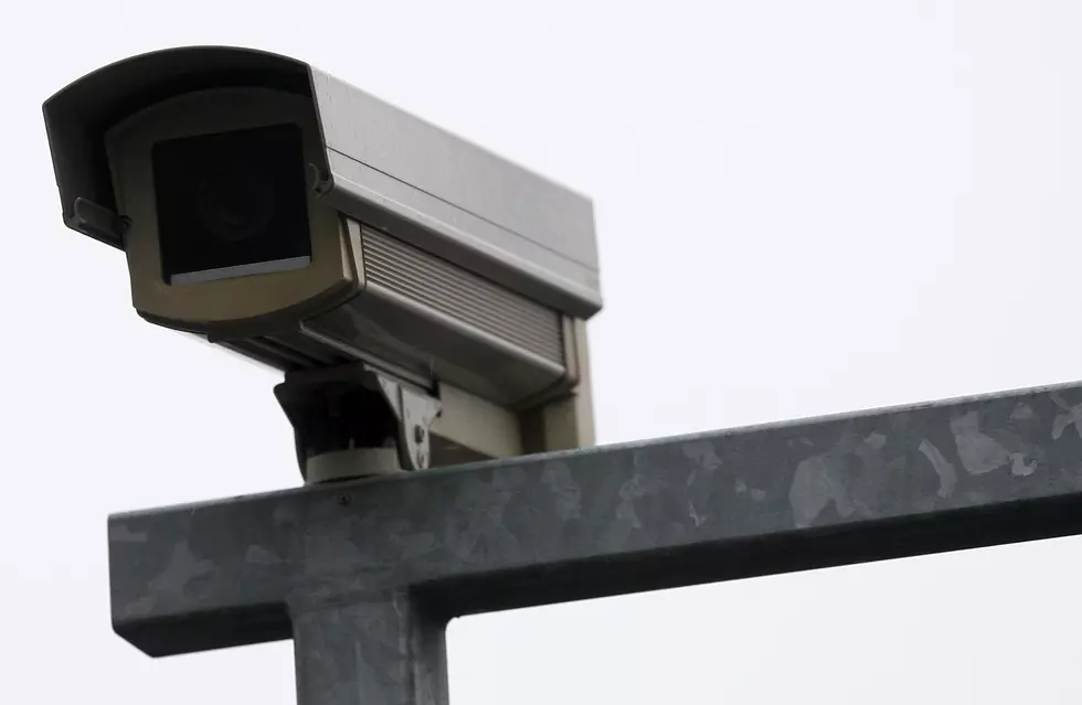 Should Amnesty Be Granted To Red Light Camera Violaters - Wingin' It Wednesday 