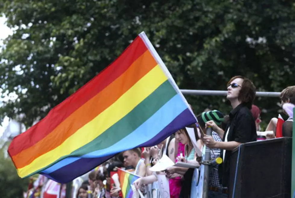 Winging It Wednesday Panelists Weigh In On Gay Pride Flag Flap