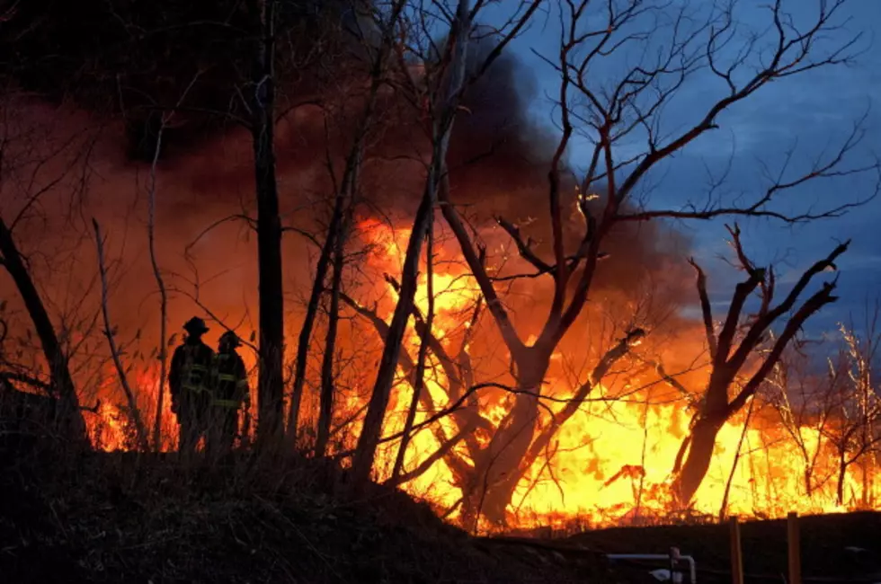 Northeast California Wildfire Destroys Eight Homes