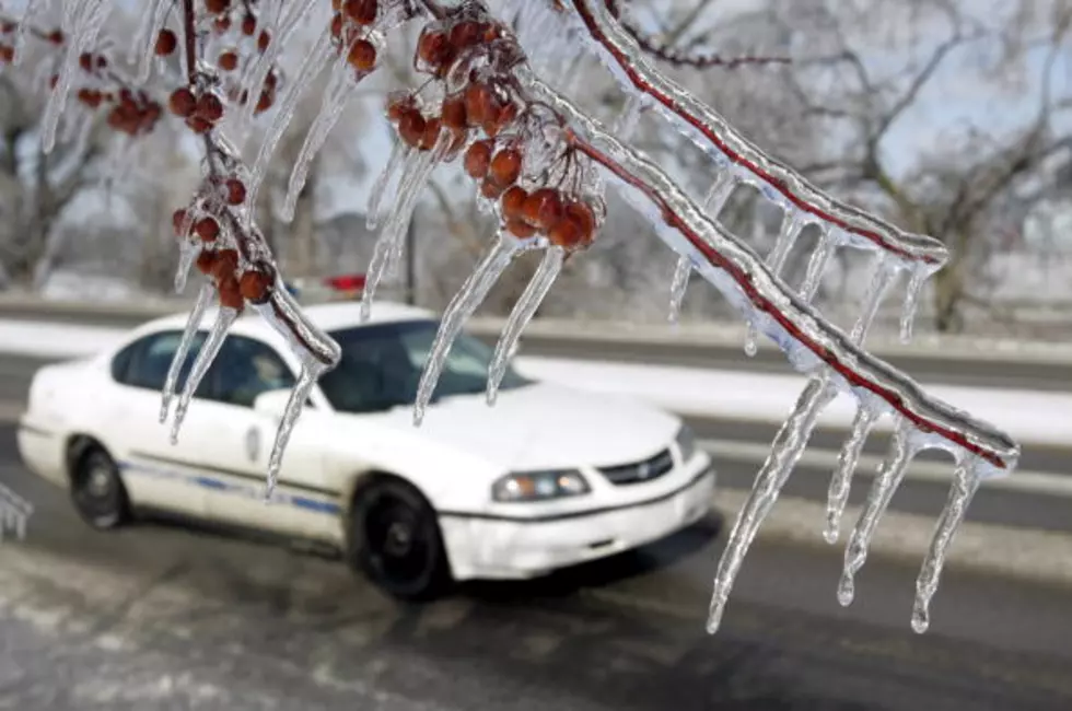 Below Freezing Temperatures Forecast For Mardi Gras