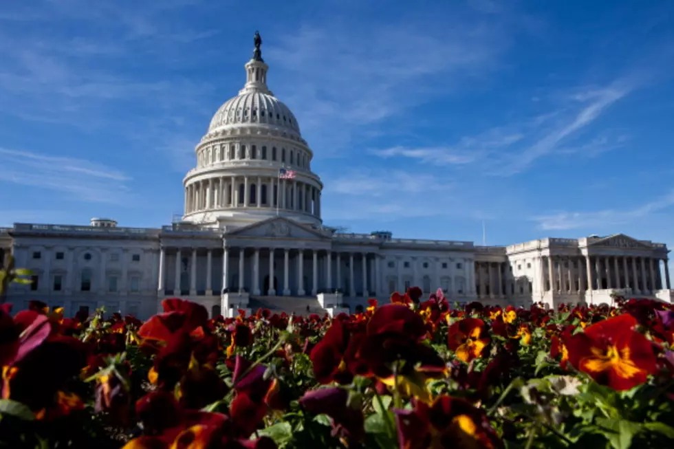 US Capitol Police: Vehicle Hits Barricade, Driver In Custody