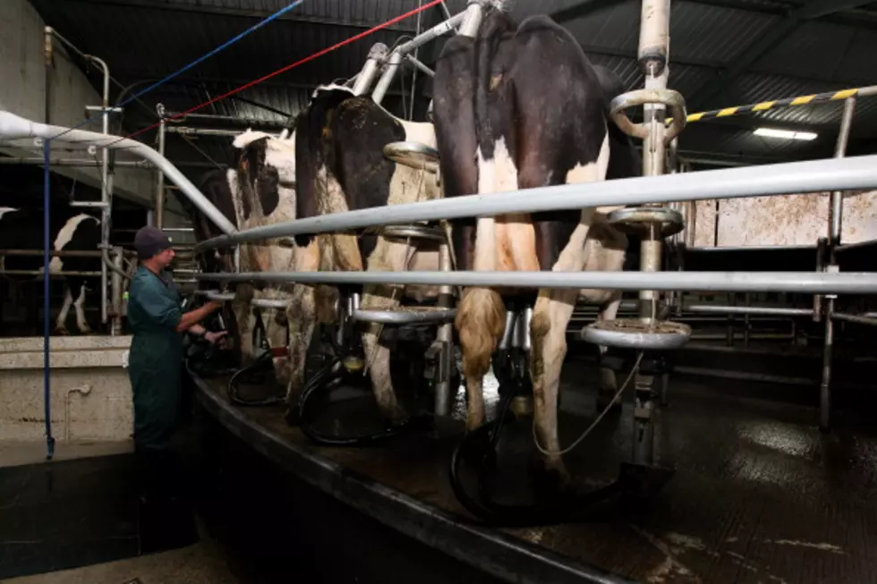 Raw Milk Bill Advances Out Of House Committee