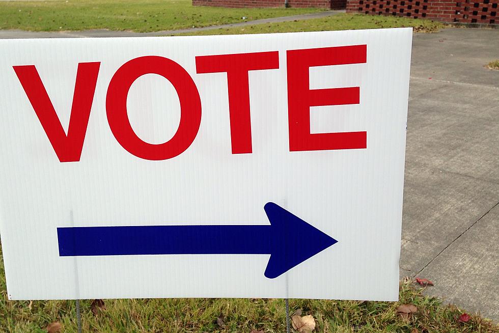 Brisk Voting Takes Place Across State