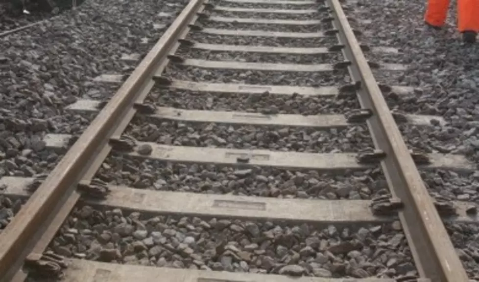 Pedestrian Dies After Being Hit By Train