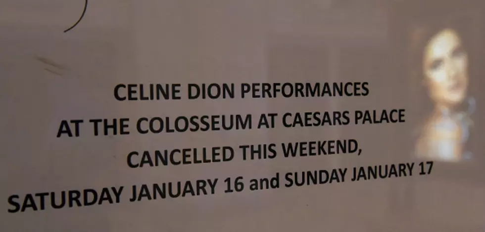 Celine Dion’s Brother Dies Just Days After Her Husband
