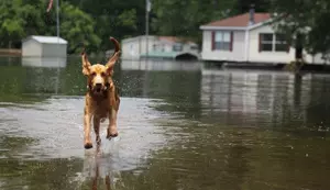 Obama Signs Louisiana Emergency Declaration Following Floods