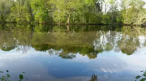 Authorities: 11,500 Gallons Of Oil Spilled Near Bayou Teche