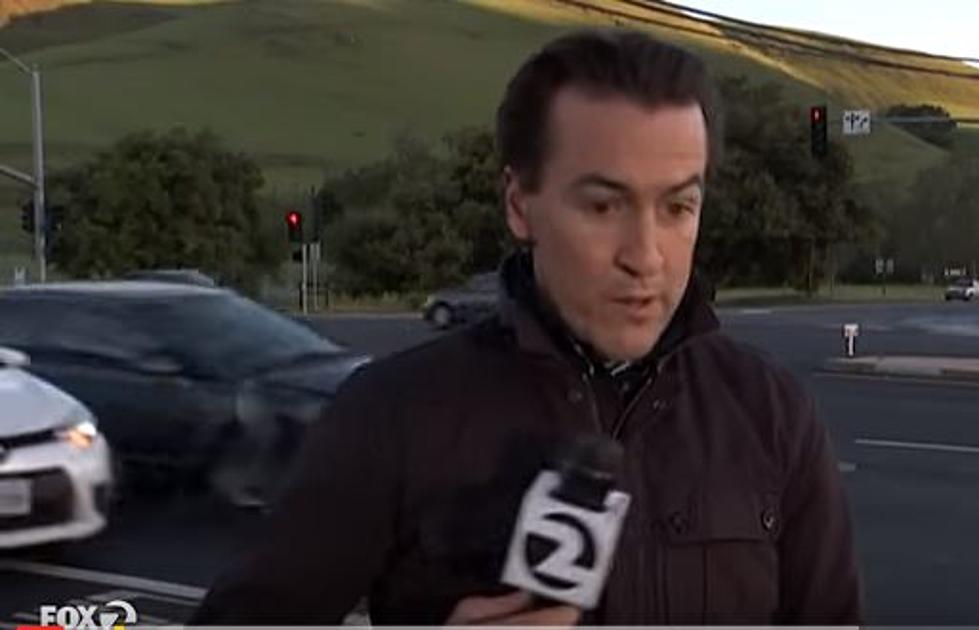 Car Nearly Crashes Into TV Reporter While On Air (Video)