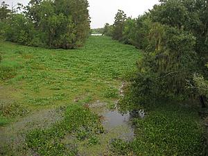 High Court Won&#8217;t Revive Louisiana Coastal Wetlands Lawsuit