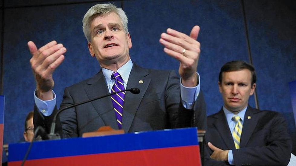 Senator Bill Cassidy Posts on Facebook About Eating a Raccoon