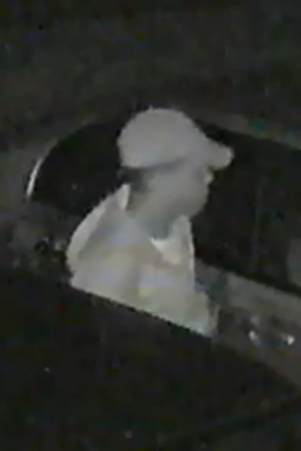 Person Accused In Several Car Burglaries In Lafayette Parish Neighborhood (Video)