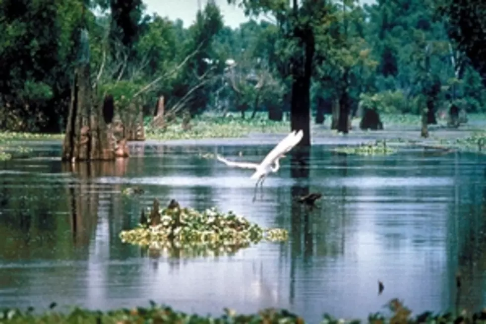 8 U.S. National Parks In Louisiana