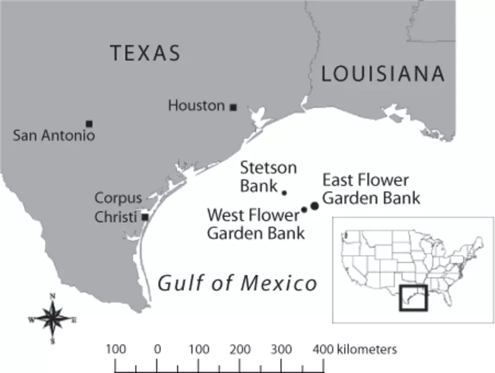 NOAA: Mass Die-Off At Marine Sanctuary Off Louisiana, Texas