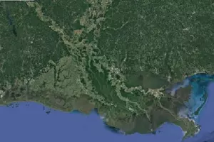 Louisiana Politicians Go To Court Blaming Big Oil For Coastal Ruin