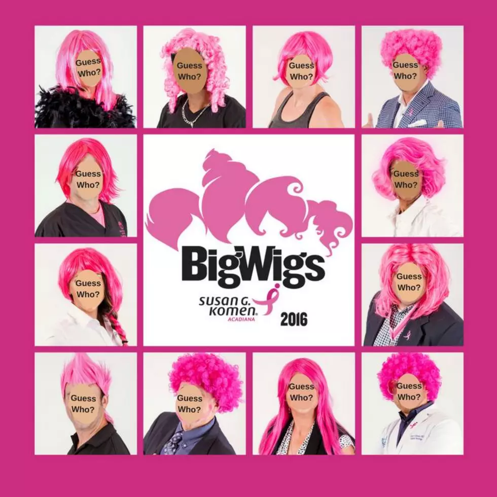 YOU’RE INVITED: Komen Acadiana Set To Announce 2016 Big Wigs