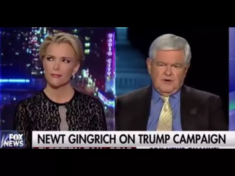 Fox News Anchor Megyn Kelly Takes On Newt Gingrich [VIDEO]